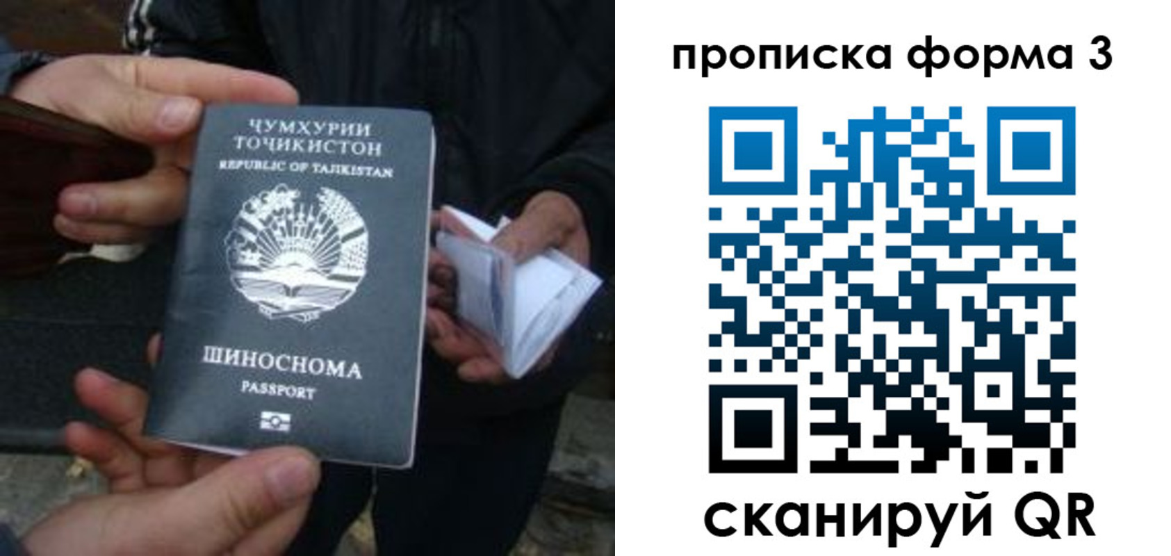 прописка 2025 в Ковылкино